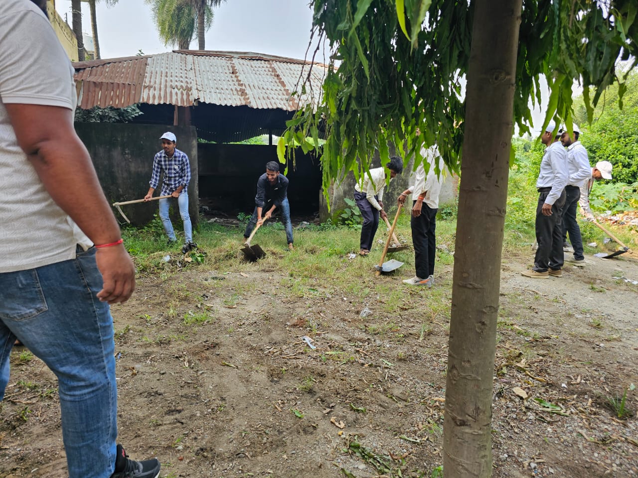 Description of Image 10